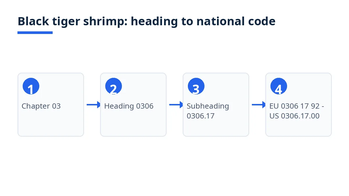 Diagram: black tiger shrimp flow from heading 0306 to 0306.17 and prepared heading 1605