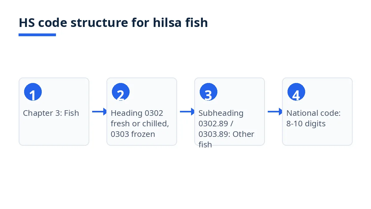 Diagram: HS code levels from chapter 3 to heading 0302, subheading 0302.89 and national codes