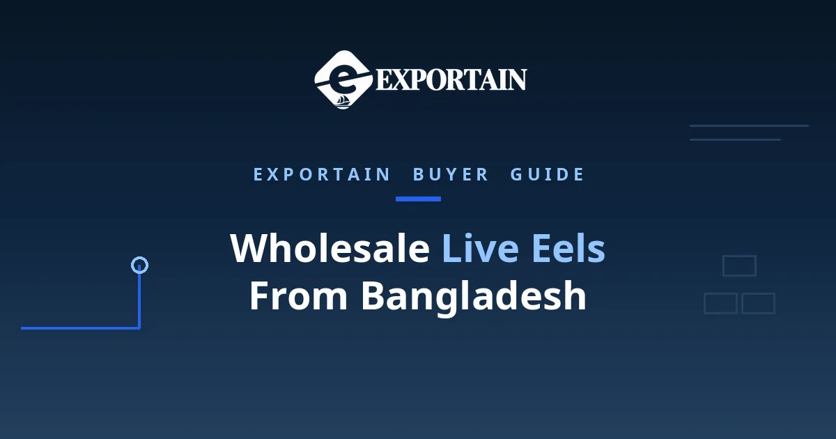 Navy title card: Wholesale Live Eels From Bangladesh, prices, MOQ and suppliers
