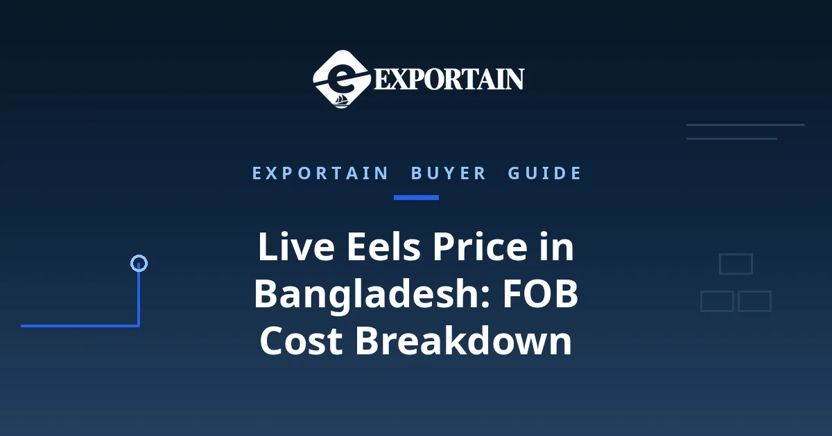 Navy title card: Live Eels Price in Bangladesh, FOB Cost Breakdown