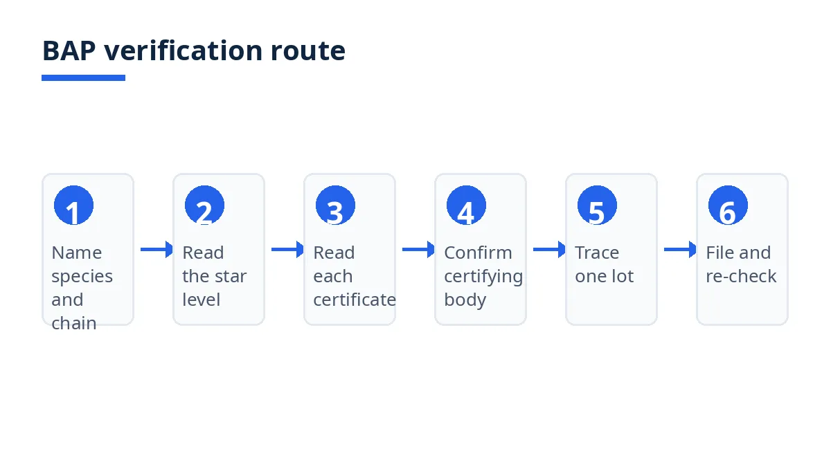 Diagram: six-step BAP verification route, from chain naming to filing and re-check
