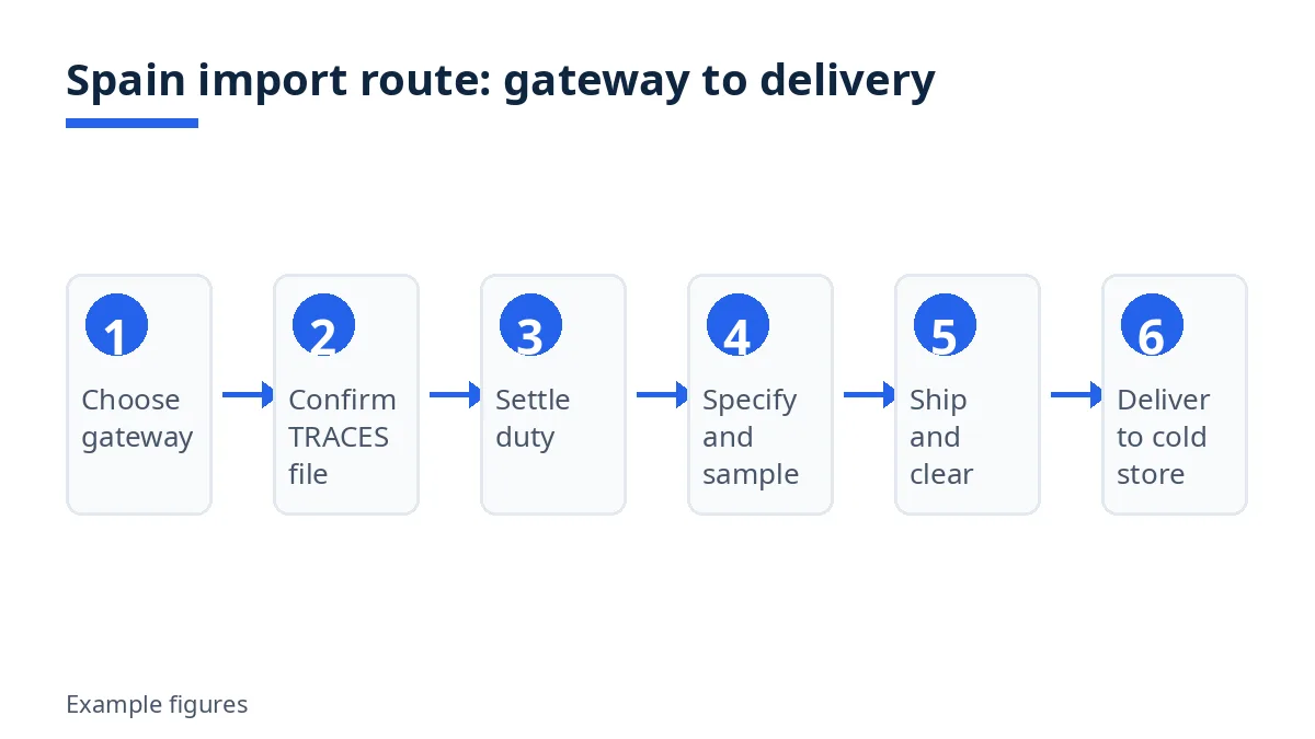 Spain frozen shrimp import route in six stages from gateway choice to delivery