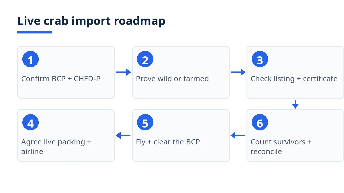 Live crab import roadmap: border file, proof, listing, packing, flight, live count